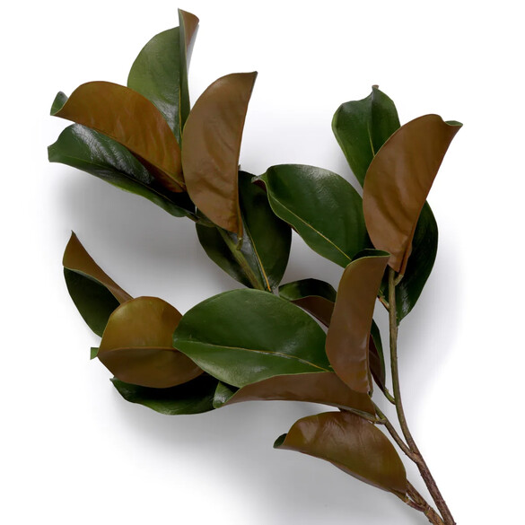 EICHHOLTZ Bundle of Magnolia leaves Kunstblumenstrau 24 Stck, Grn- & Brauntne