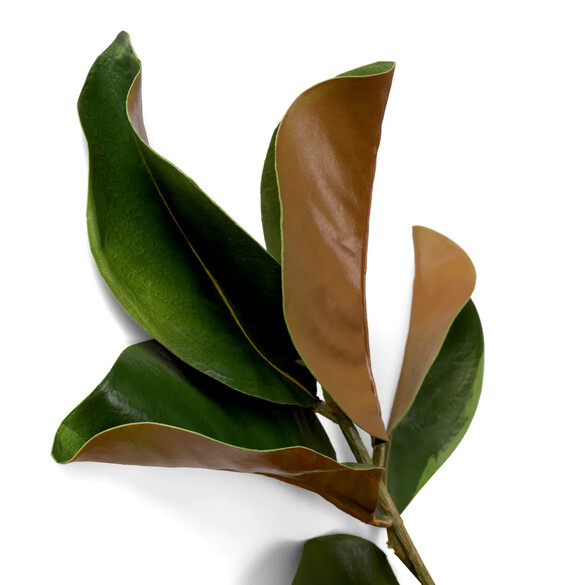 EICHHOLTZ Bundle of Magnolia leaves Kunstblumenstrau 24 Stck, Grn- & Brauntne