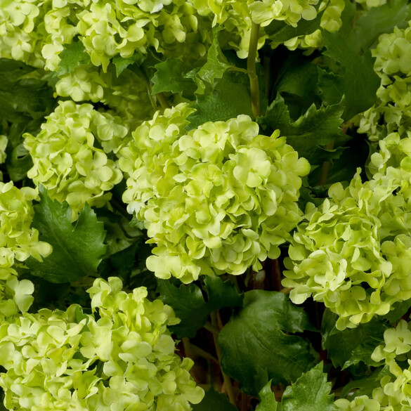 EICHHOLTZ Bouquet of Hydrangeas snowball real touch Kunstblumenstrau 36 Stck, Grntne