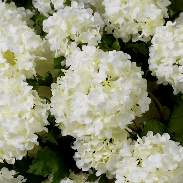 EICHHOLTZ Bouquet of Hydrangeas snowball real touch Kunstblumenstrau 36 Stck, Weitne