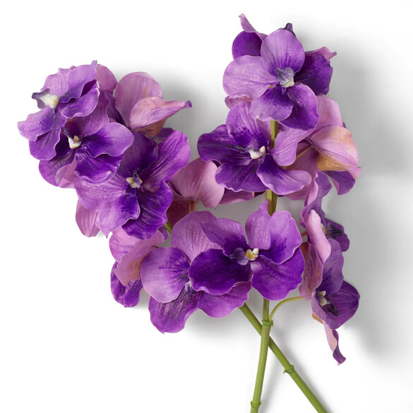 EICHHOLTZ Bouquet of Vanda Orchids real touch Kunstblumenstrau 24 Stck, Lilatne