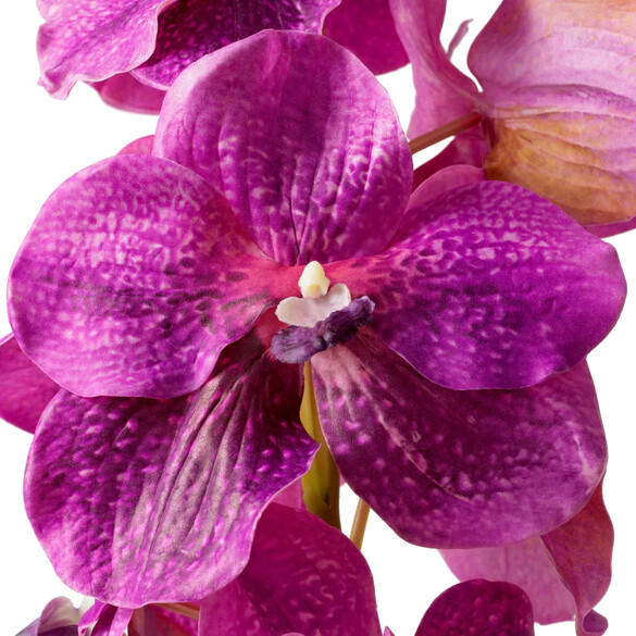 EICHHOLTZ Bouquet of Vanda Orchids real touch Kunstblumenstrau 24 Stck, Fuchsia-Tne