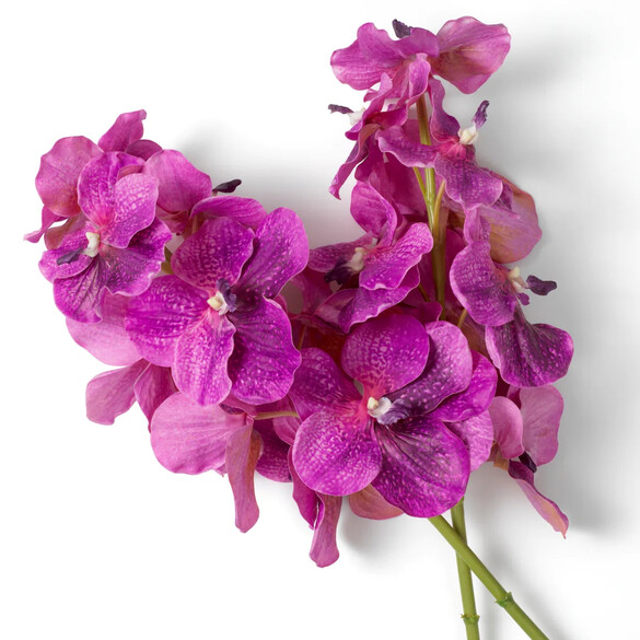 EICHHOLTZ Bouquet of Vanda Orchids real touch Kunstblumenstrau 24 Stck, Fuchsia-Tne