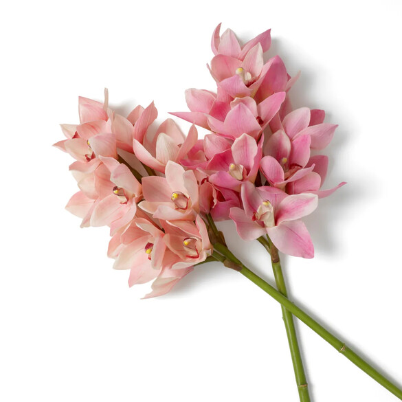 EICHHOLTZ Bouquet of Cymbidium Orchids real touch Kunstblumenstrau 36 Stck, Rosa- & Pfirsischtne