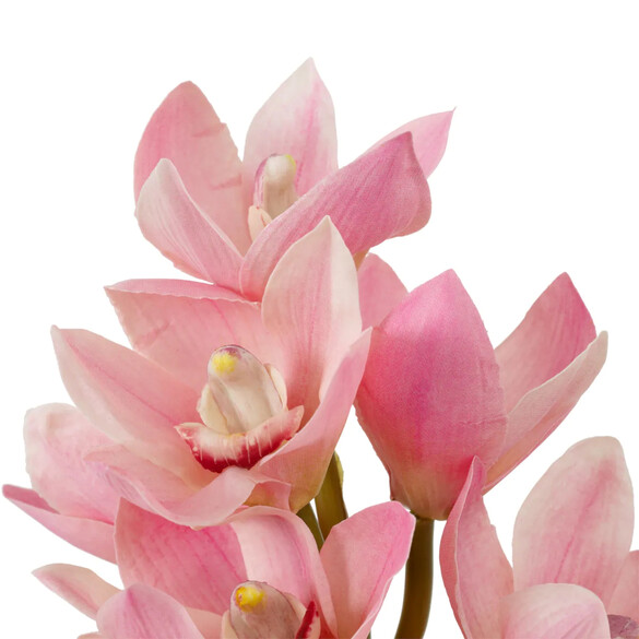 EICHHOLTZ Bouquet of Cymbidium Orchids real touch Kunstblumenstrau 36 Stck, Rosa- & Pfirsischtne